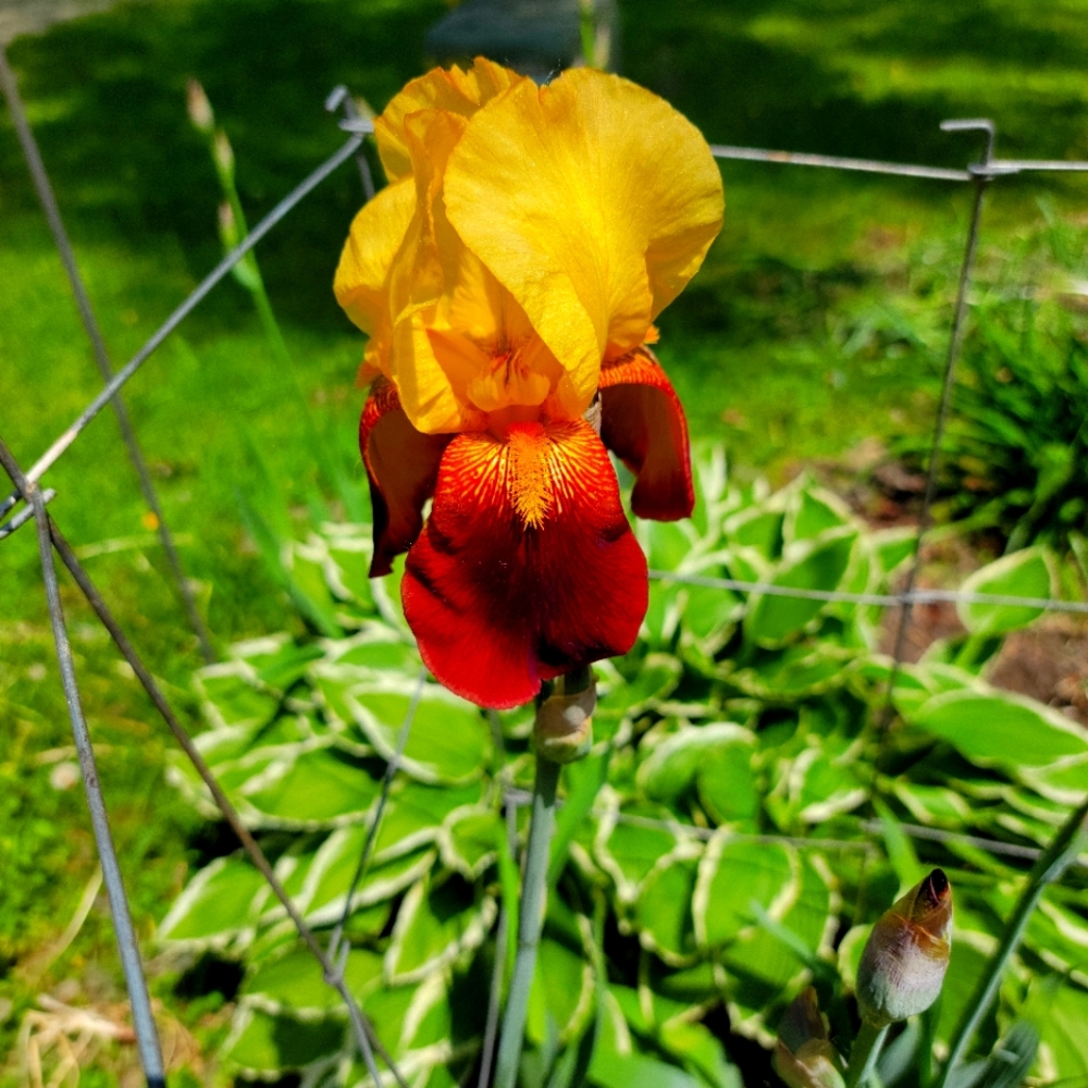 Meet your Posher, Tina.